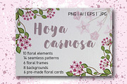 Hoya carnosa - floral collection, a Texture Illustration by LogvinArt (Thumbnail 1 of 8)