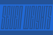 Dimensions, a Sans Serif Font by Dharma Type (Thumbnail 7 of 10)