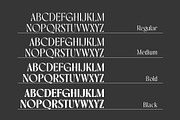 Rovaney - Fancy Font Family, a Serif Font by Arterfak Project (Thumbnail 6 of 15)