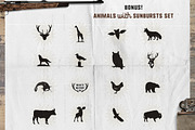 Vintage Camp Pennants Set | Part 2, an Illustration by JeksonGraphics (Thumbnail 8 of 11)