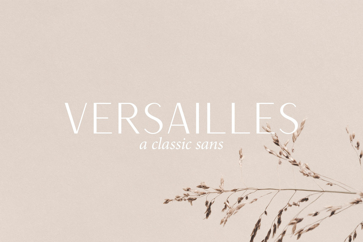 Modern Logo Sans Font Bundle, a Sans Serif Font by Jen Wagner Co (Photo 3 of 39)