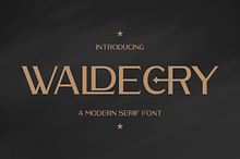 Waldecry A Modern Serif Font