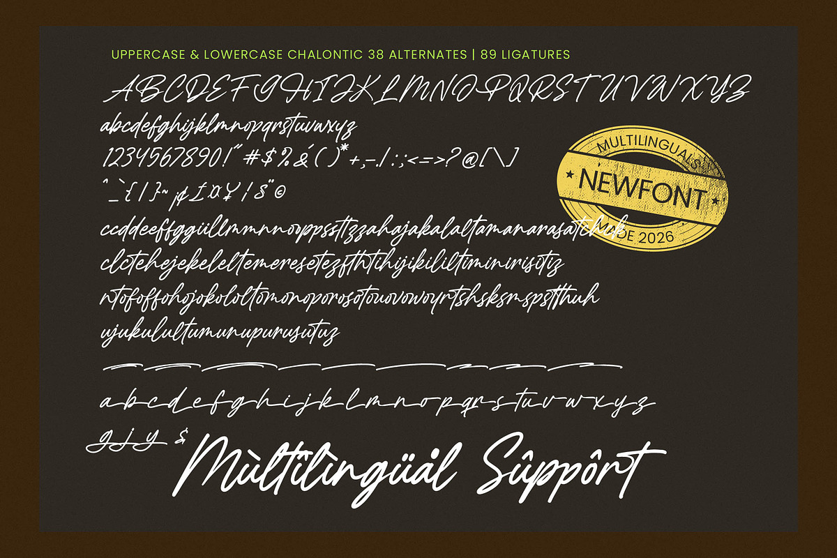 Chalontic Modern Handwritten Script, a Script Font by Letterena Studios Script (Photo 18 of 20)