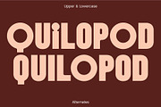 Quipo - Quirky Bold Display Font, a Sans Serif Font by Studio Aurora (Thumbnail 7 of 12)