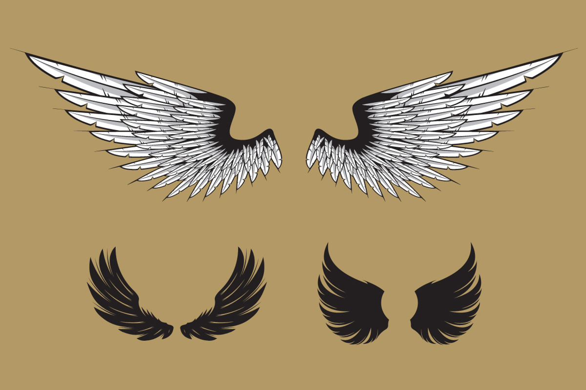160 Pairs of Vector Wings, an Object Graphic by Damien (Photo 11 of 17)