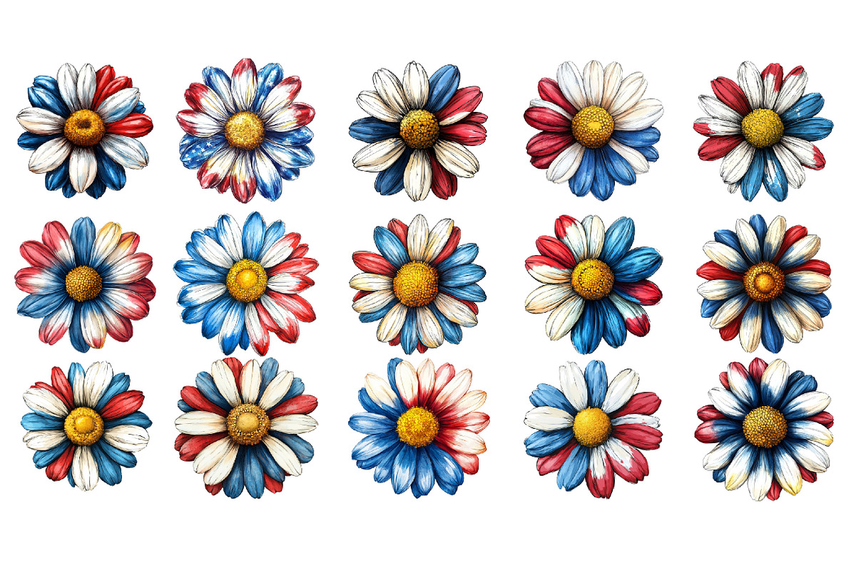 American Flag Daisy Flower 4th of, an Illustration by Designworld (Photo 5 of 9)
