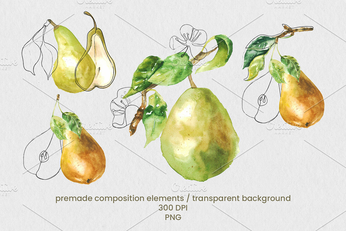 Pear Wine - Fruit Watercolor Clipart, a Decorative Illustration by foxsong (Photo 9 of 16)