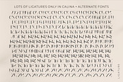 Calina serif classy font, a Serif Font by suhadidesign (Thumbnail 15 of 18)