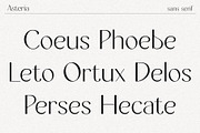 Asteria // A Modern Sans Serif Font, a Sans Serif Font by Megs Lang (Thumbnail 2 of 14)