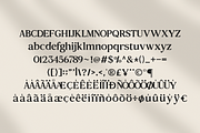 Ephira Modern Editorial Serif Font, a Serif Font by Vadovastd (Thumbnail 2 of 7)