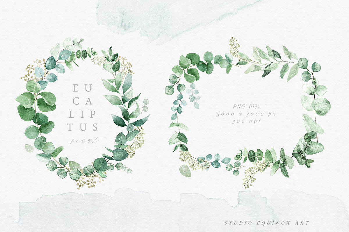Scent of Eucalyptus - Graphic Set, an Illustration by studioequinox (Photo 7 of 21)