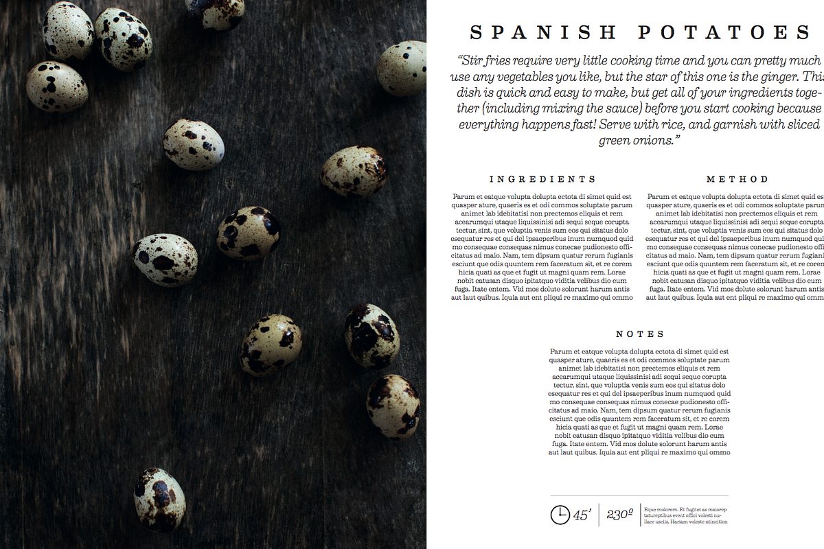 Cookbook / Recipe Book Template, a Brochure Template by ADD+ (Photo 16 of 16)