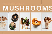 250 Healthy Food & Nutrition Photos, a Food & Drink Photo by Tale.Haus (Thumbnail 22 of 25)