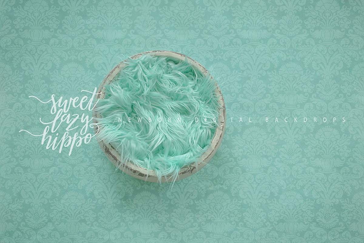 Mint Newborn Digital Backdrop preview 2