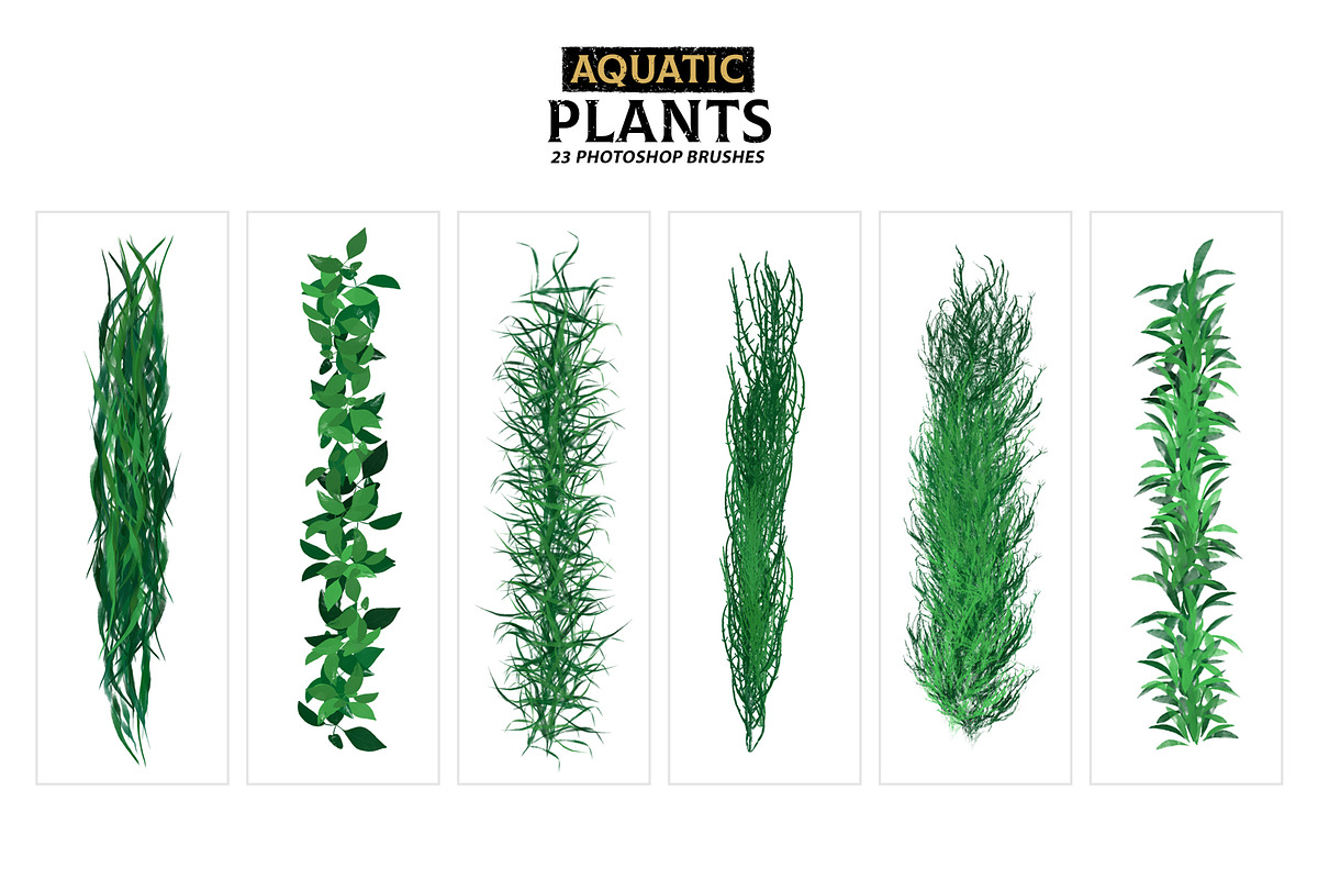 Aquatic Plants Brushes, a Brush Add-On by Mohamed Saber (Photo 2 of 5)