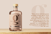 Francois Modern Serif Font, a Serif Font by Fancy Malone (Thumbnail 4 of 12)
