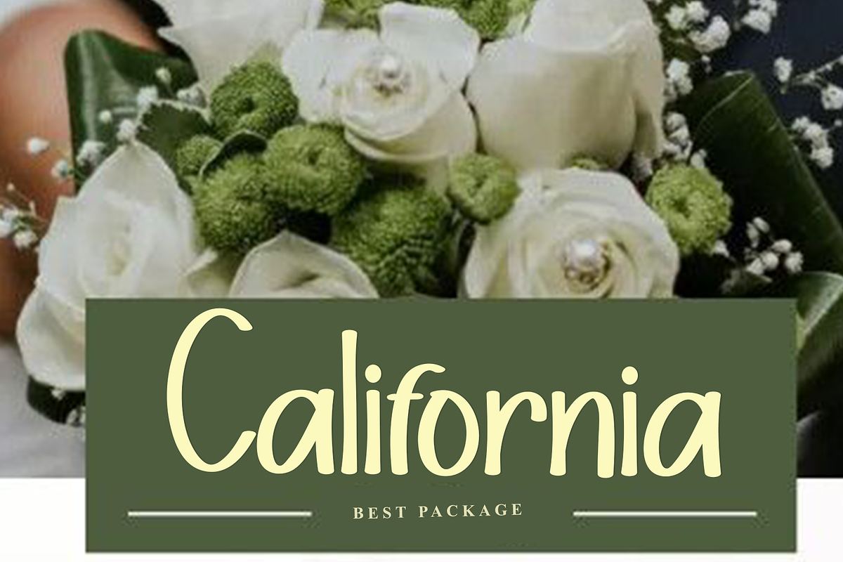 Santa Catalina, a Script Font by FreshTypeINK (Photo 2 of 8)