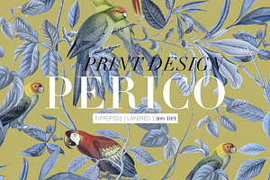 Perico, Exquisite Print Design!