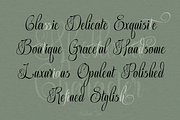 Abellona Script, a Script Font by TypeClassHeroes (Thumbnail 6 of 11)