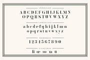 Kinlock - Elegant Stencil Serif, a Serif Font by Surplus Type Co (Thumbnail 2 of 7)