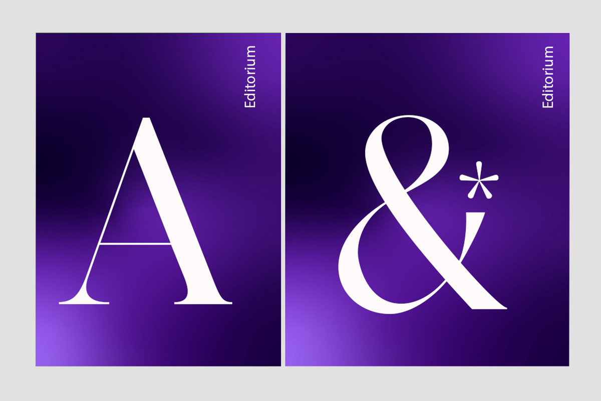 Editorium Serif, a Serif Font by Typehill (Photo 7 of 14)