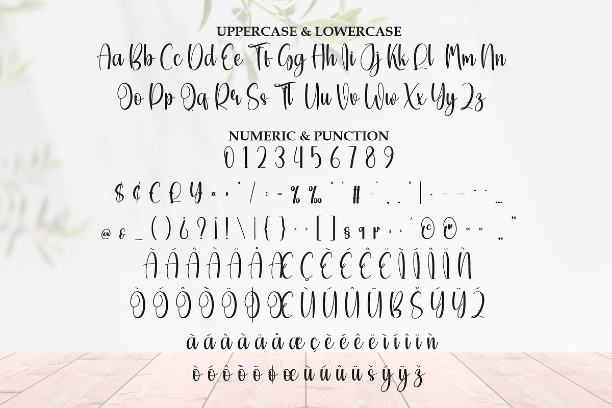 Quality Modern | Script Font, a Handwritten Font by Scratchones (Photo 7 of 9)