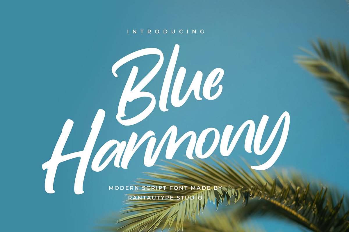Blue Harmony Modern Script Font, a Script Font by RantautypeStudio (Photo 1 of 13)