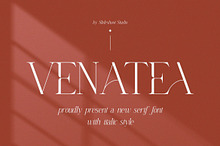 Venatea | New Serif Font With Italic