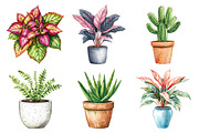Watercolor Home Plants Clipart, an Illustration by Daily.Designs (Thumbnail 3 of 5)
