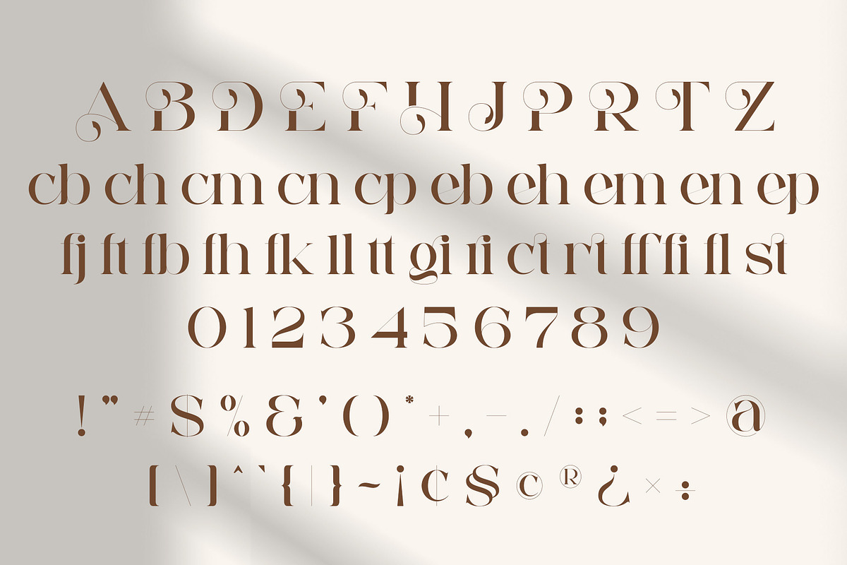 Egista - Modern Serif Font, a Serif Font by Aqeel_Art (Photo 10 of 12)