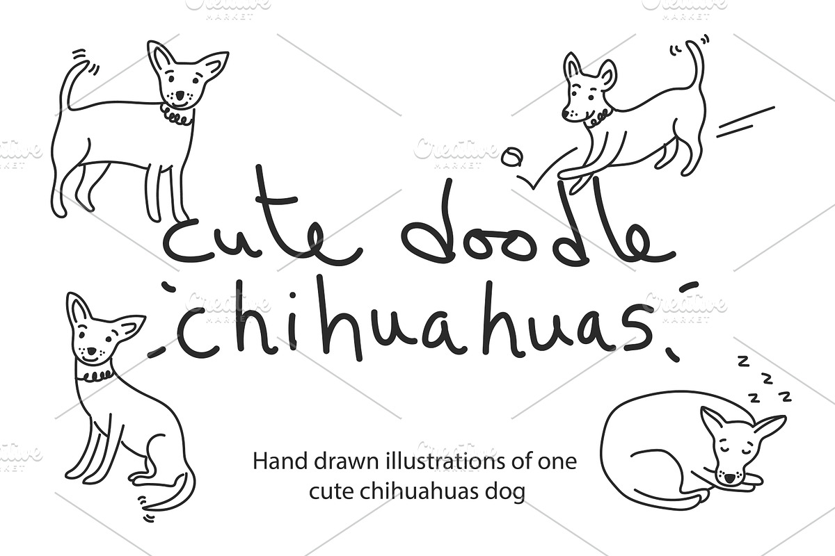 Cute doodle Chihuahuas, an Animal Illustration by Liz Pengilley Studio (Photo 1 of 4)