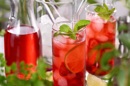 Summer strawberry mojito cocktail, an Abstract Photo by Apolonia