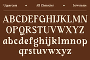 Sunday Monare, a Serif Font by Megatype (Thumbnail 9 of 12)