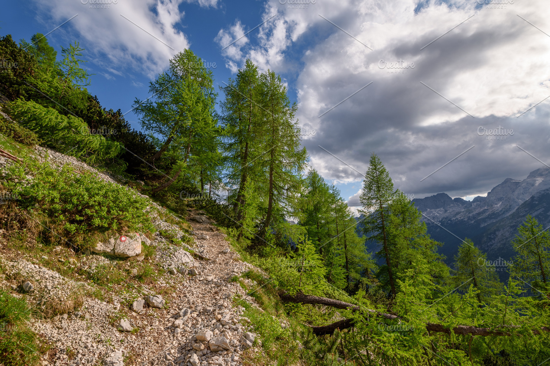 Flowers, path and trees in mountains, a Nature Photo by Dreamy Pixel