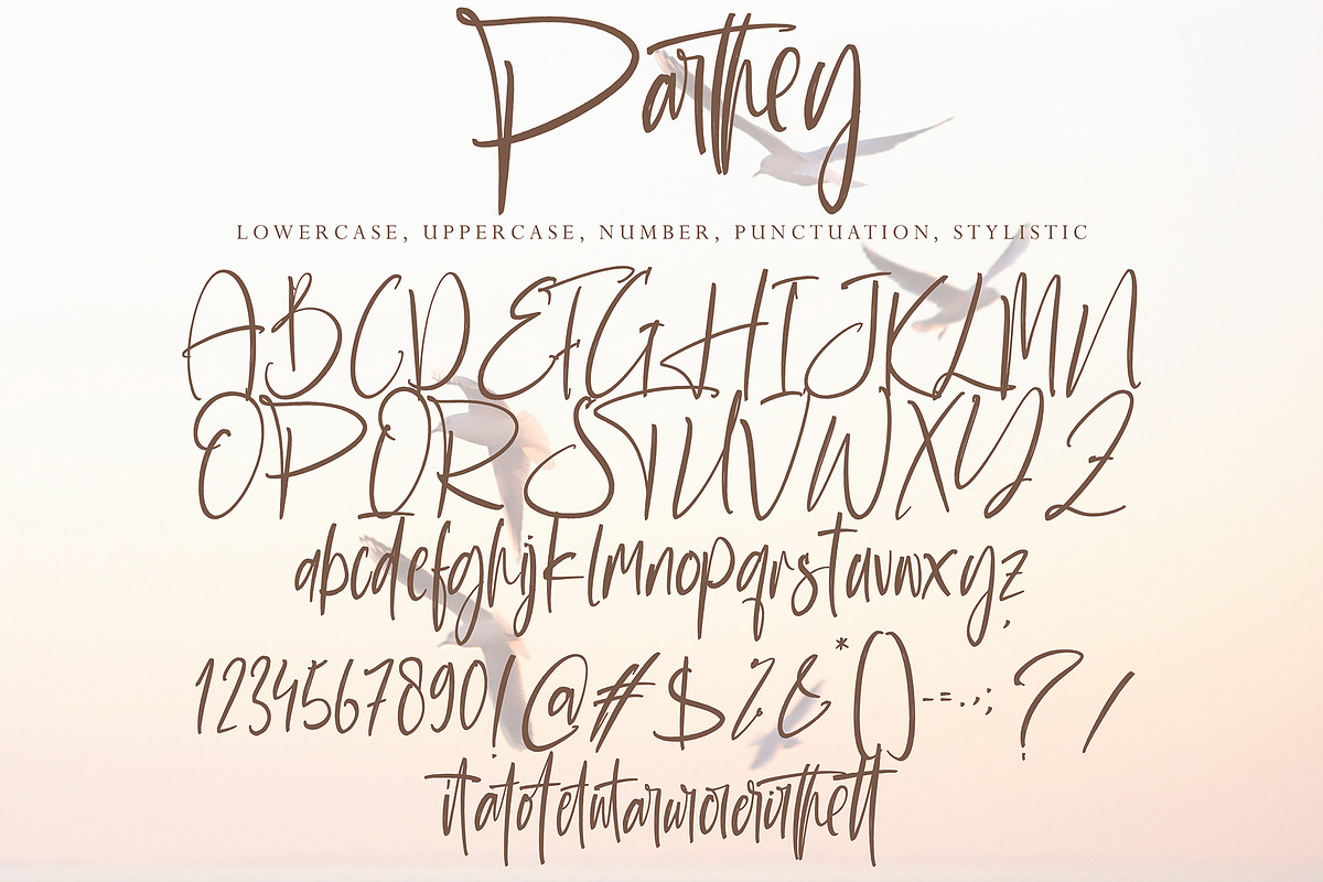 Parthey, a Script Font by pineungtype (Photo 10 of 10)