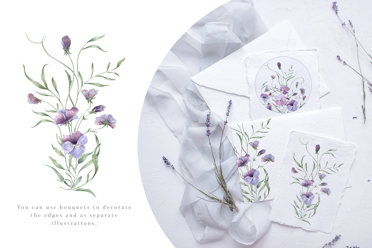 Charming purple pansies, hydrangea, an Illustration by astelenadesign (Photo 4 of 12)