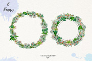 Watercolor Edelweiss, a Decorative Illustration by Graphobia (Thumbnail 4 of 8)