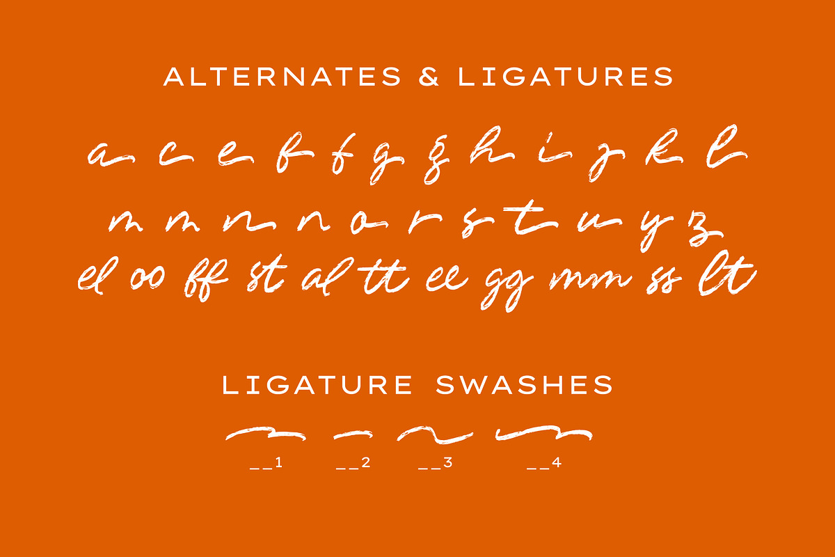 Highway Cultures - Dry Brush Script, a Handwritten Font by VASTARD STUDIO (Photo 7 of 10)