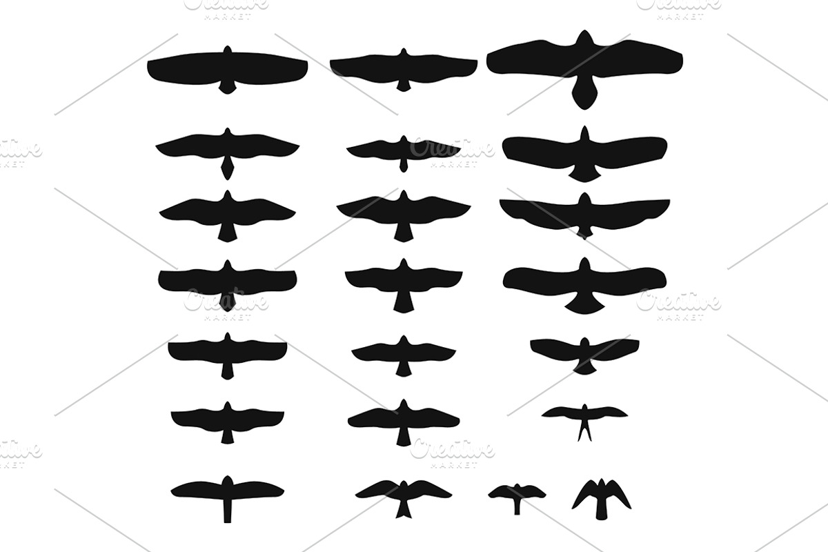 Set of Silhouettes of birds of prey, an Illustration by idimair
