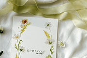 Spring mood - watercolor collection, a Seasonal Illustration by Youksy (Thumbnail 4 of 11)