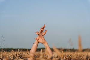 Female Hands Raised Above Wheat Field Against Clear Sky, a Person Photo by Red Hot Chili Pepper Shop
