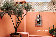 Orange Lightroom Mobile Presets, an Action Add-On by in between details (Thumbnail 7 of 12)