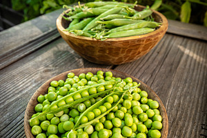 Freshly harvested green peas and peapods, a Photo by Grafvision photography