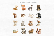 Woodland Animal Clipart, an Animal Illustration by EllyandLima (Thumbnail 4 of 10)