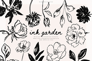 Ink Garden - 50 Brush Line Elements