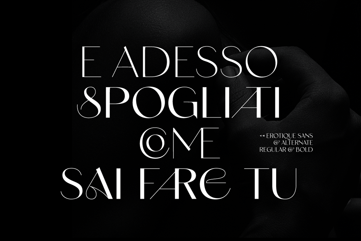 Erotique Sans - 10 fonts, a Sans Serif Font by Zetafonts (Photo 16 of 18)