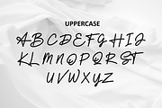 Sinteniku, a Script Font by almazstudio (Thumbnail 8 of 10)