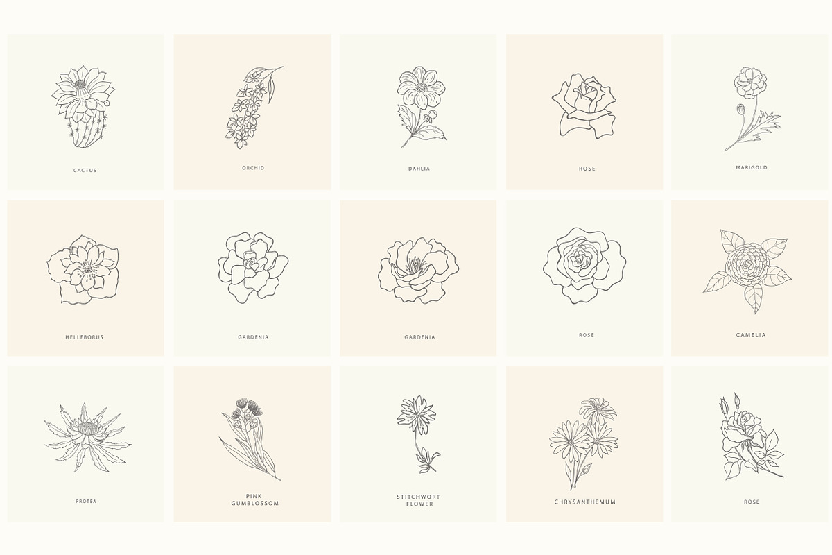 Birth-Flowers. Trendy Plants, Logos, a Seasonal Illustration by Designwork (Photo 14 of 21)
