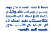 Maheeb - Arabic Font, a Serif Font by Mostafa El Abasiry (Thumbnail 5 of 11)