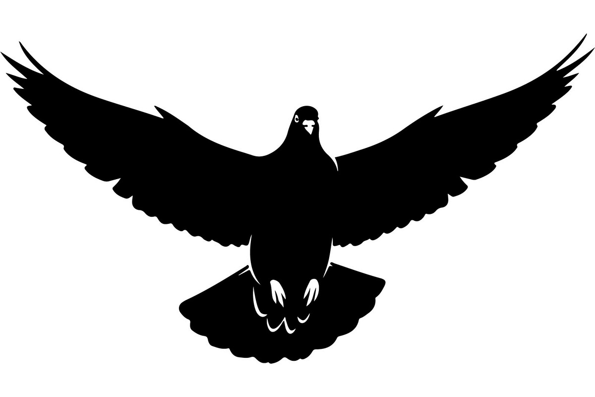 Bird Silhouettes Flying Sideways, an Animal Illustration by Designer_Momina (Photo 11 of 21)